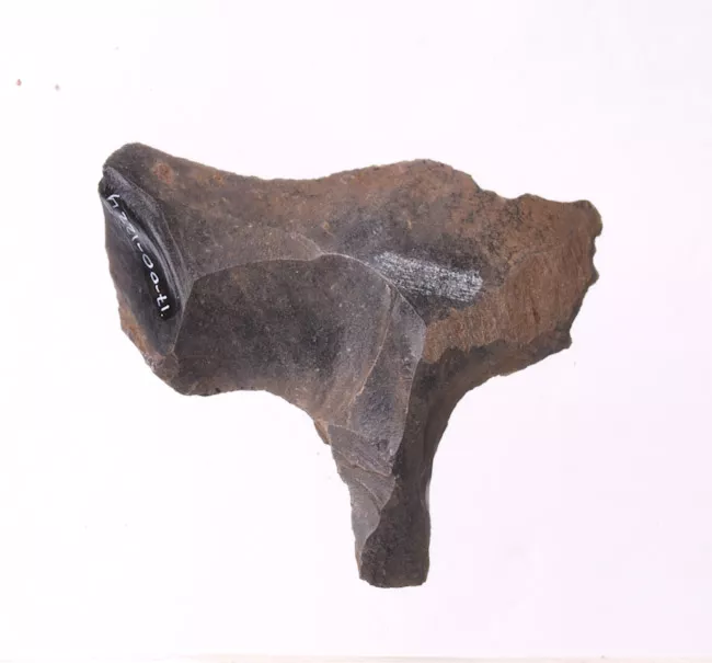 Mata'a