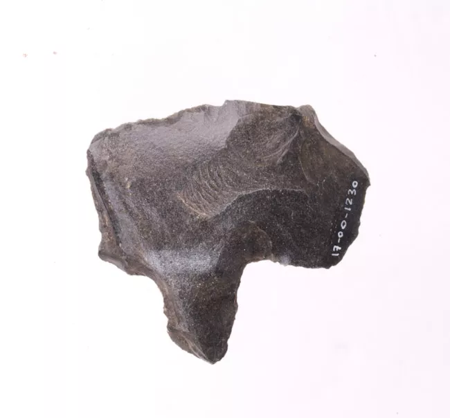 Mata'a