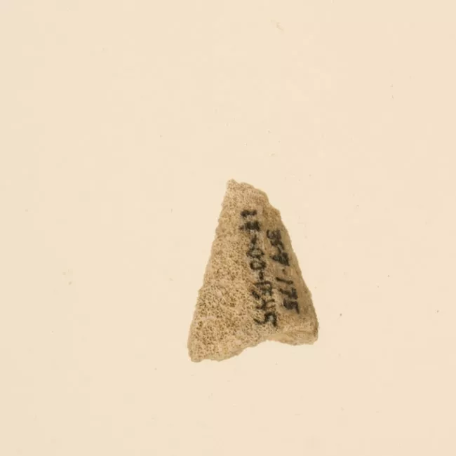 Lima de coral (Polinesia y Rapa Nui)