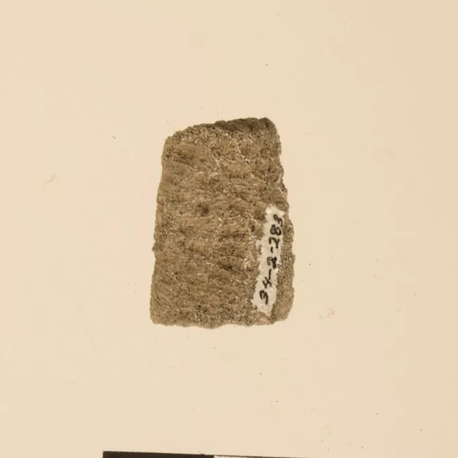 Lija