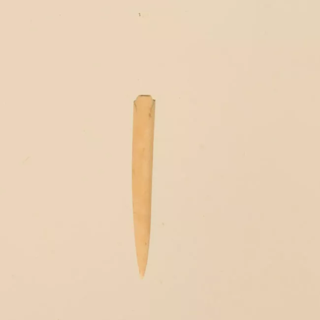 Aguja (arqueológico y etnográfico)