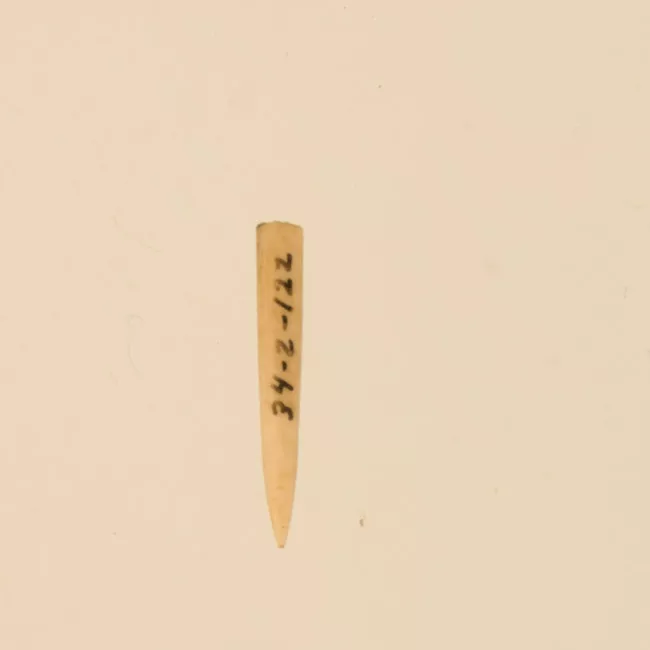 Aguja (arqueológico y etnográfico)