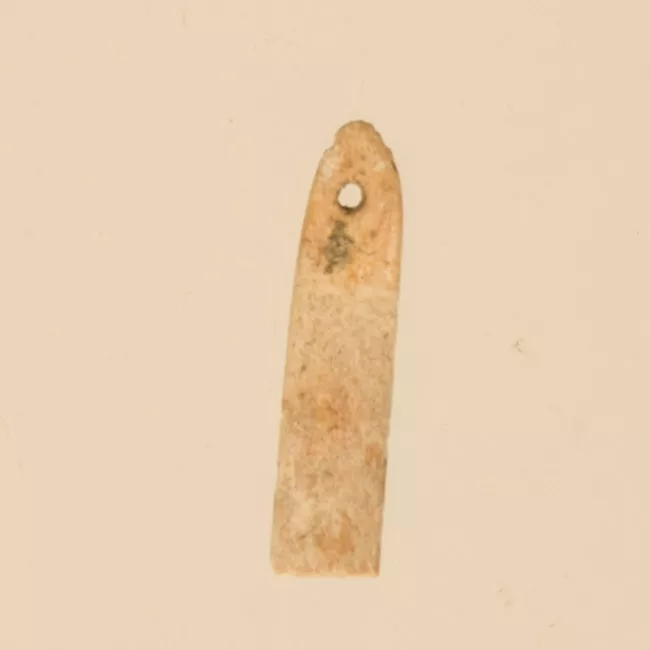Aguja (arqueológico y etnográfico)
