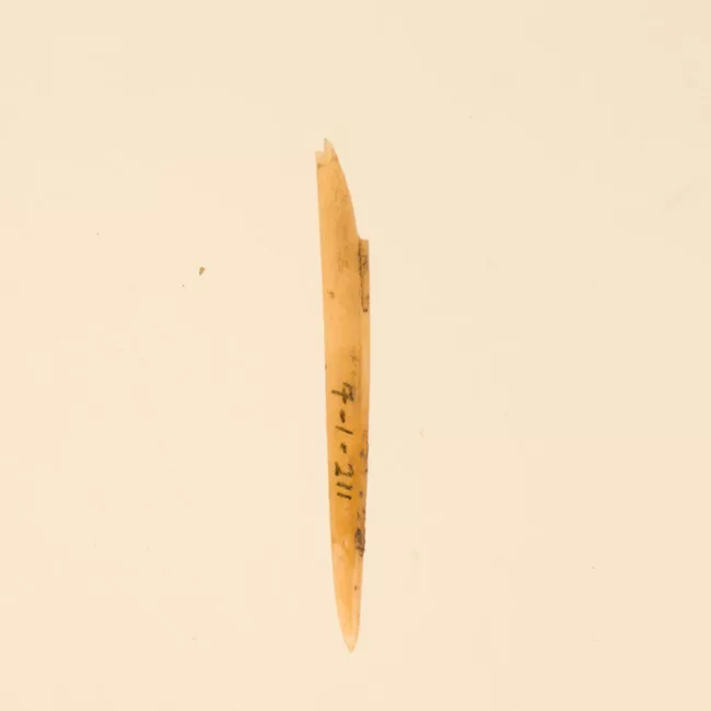 Aguja (arqueológico y etnográfico)