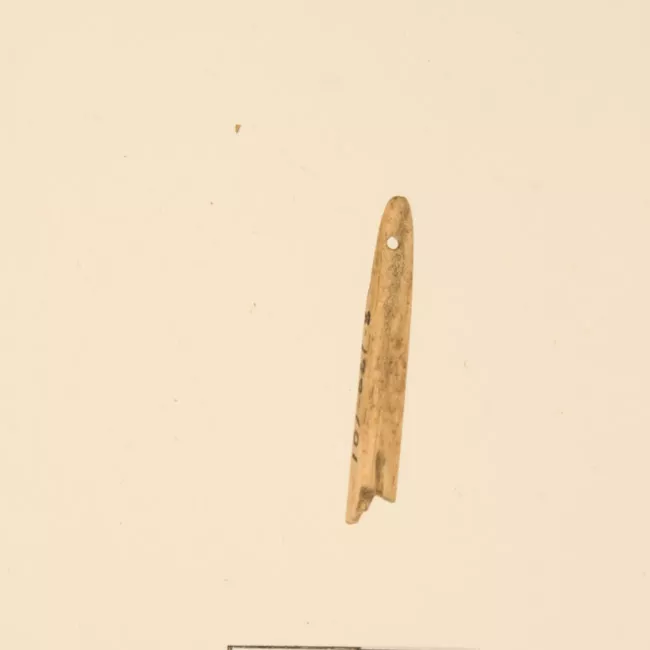 Aguja (arqueológico y etnográfico)