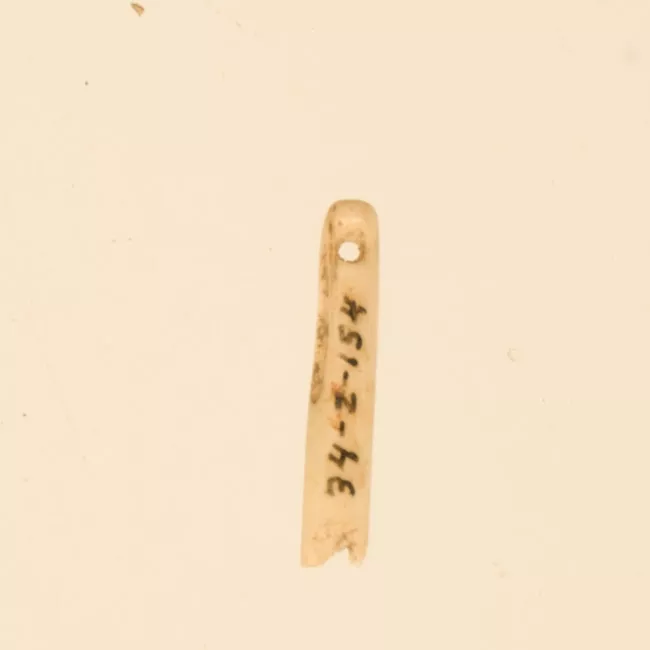 Aguja (arqueológico y etnográfico)