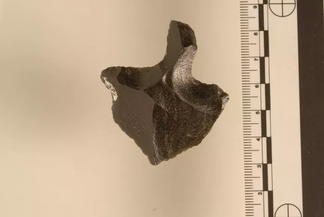 Mata'a