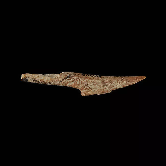 Barba de arpón