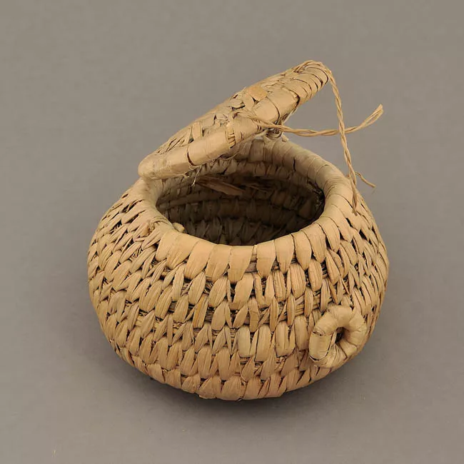Cesta