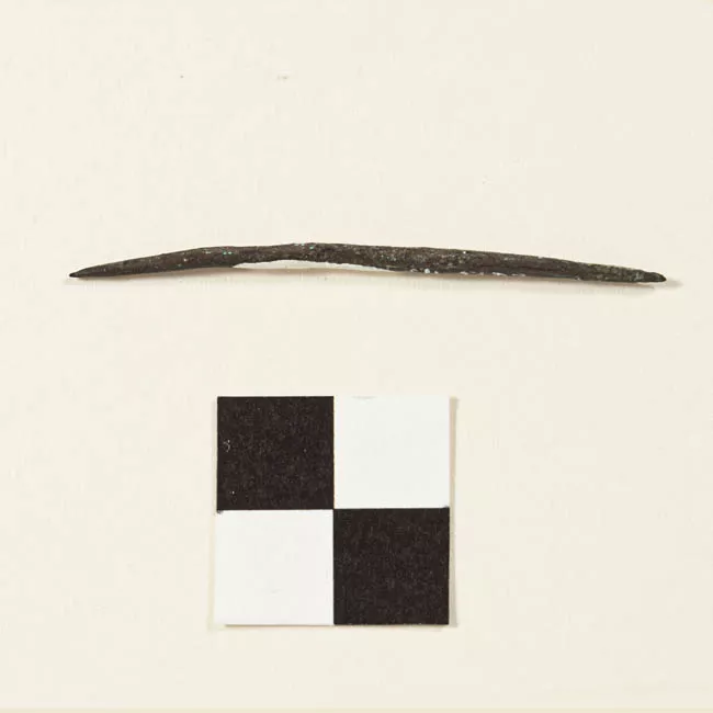 Aguja (arqueológico y etnográfico)