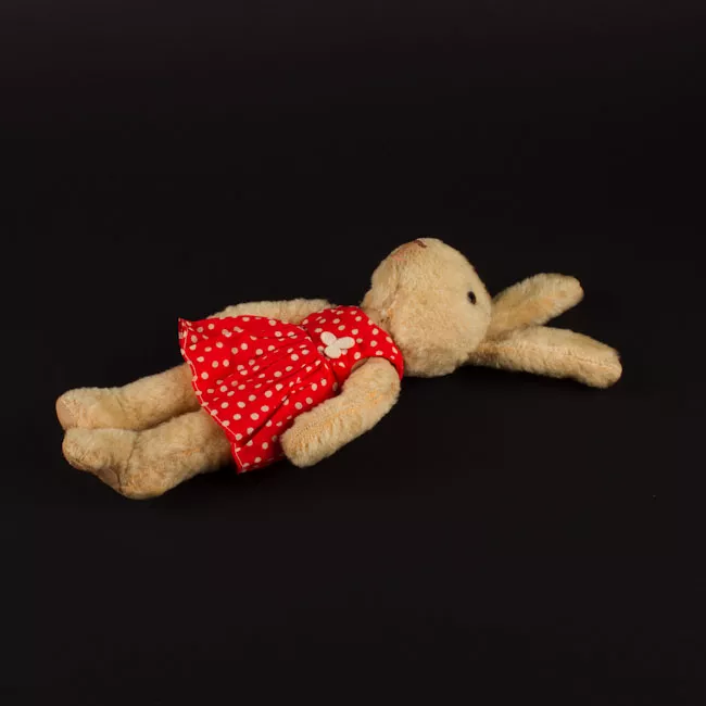 Oso de peluche
