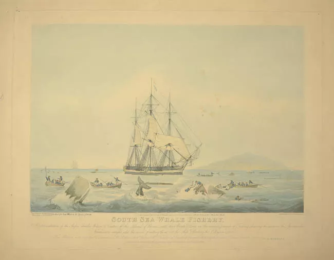 South Sea Whale Fishery