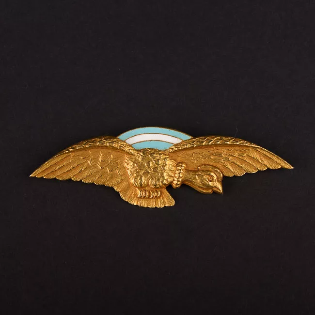 Insignia (artefacto de identificación)