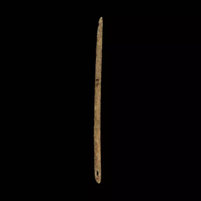 Aguja (arqueológico y etnográfico)
