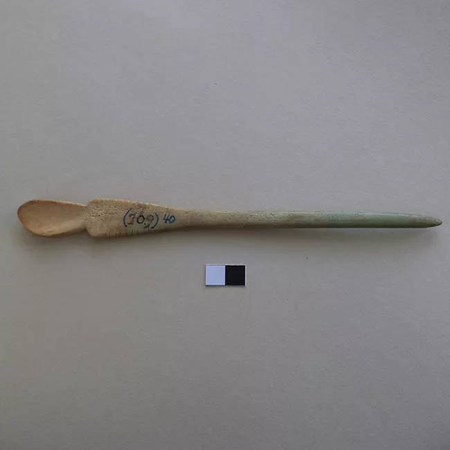 Cucharilla