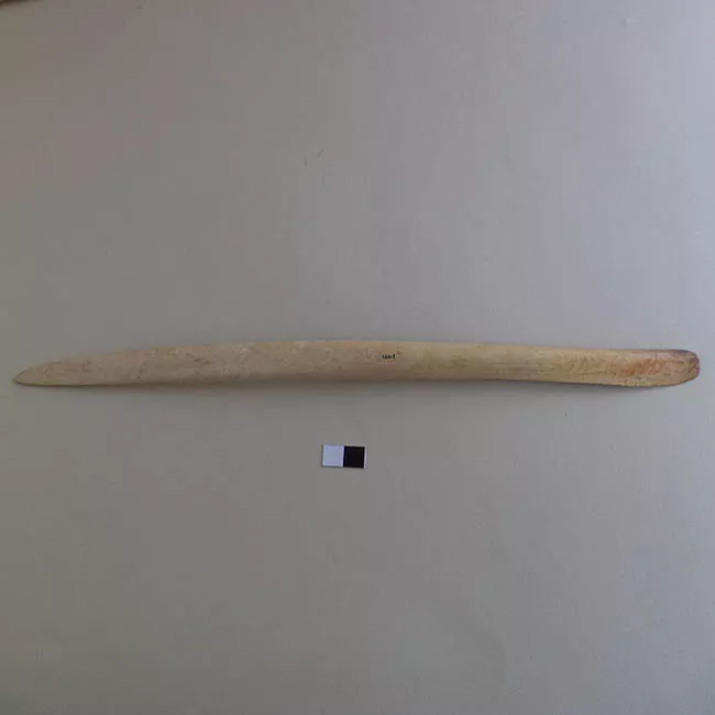 Espátula