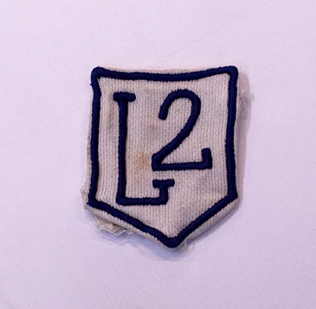 Insignia (artefacto de identificación)