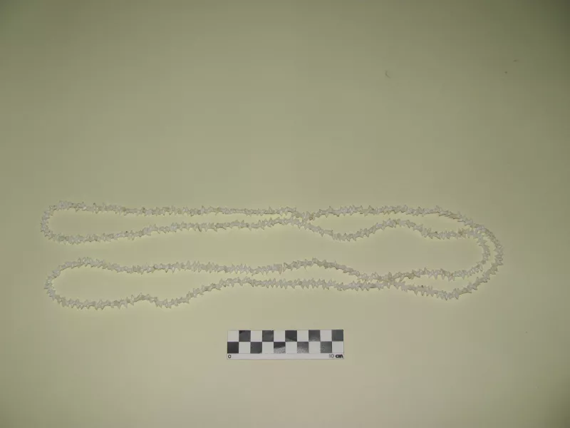 Collar (accesorio de vestir)