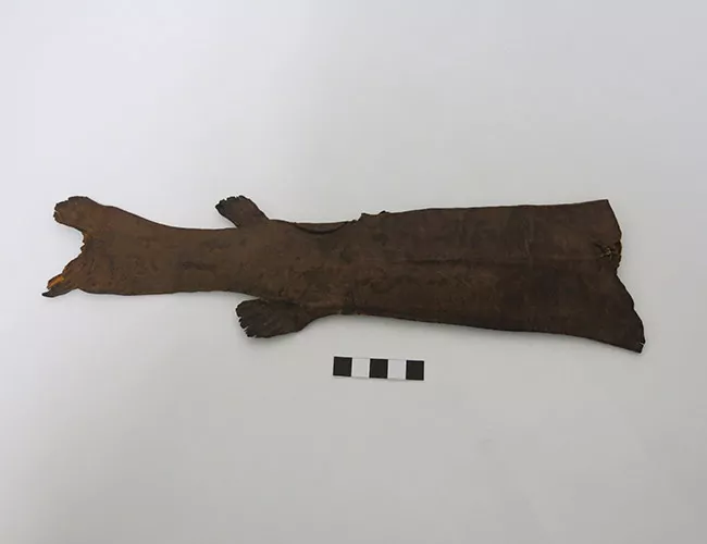 Guayaca (bolsa)
