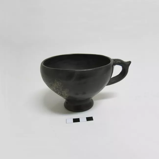 Taza