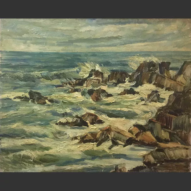 Roqueríos de Isla Negra