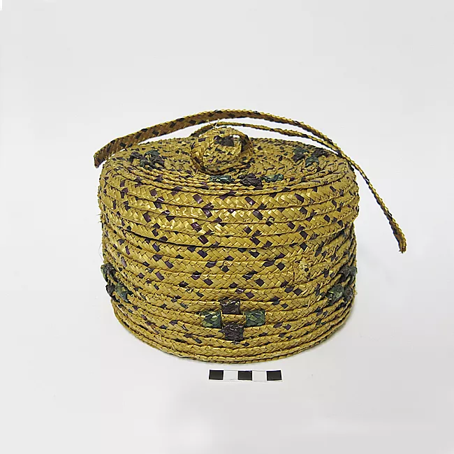 Cesta