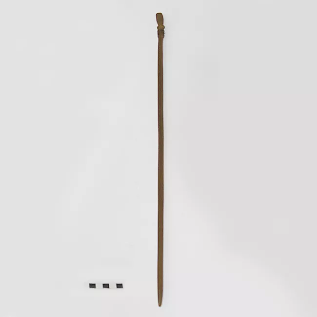 Bastón
