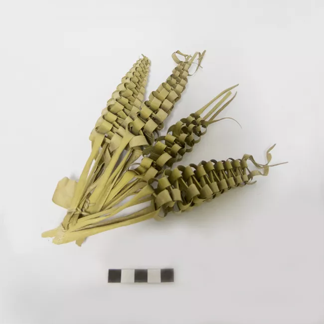 Ramo