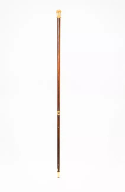 Bastón