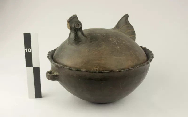 Olla