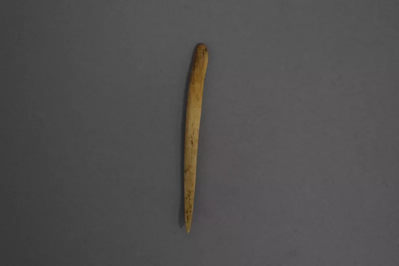 Aguja (arqueológico y etnográfico)