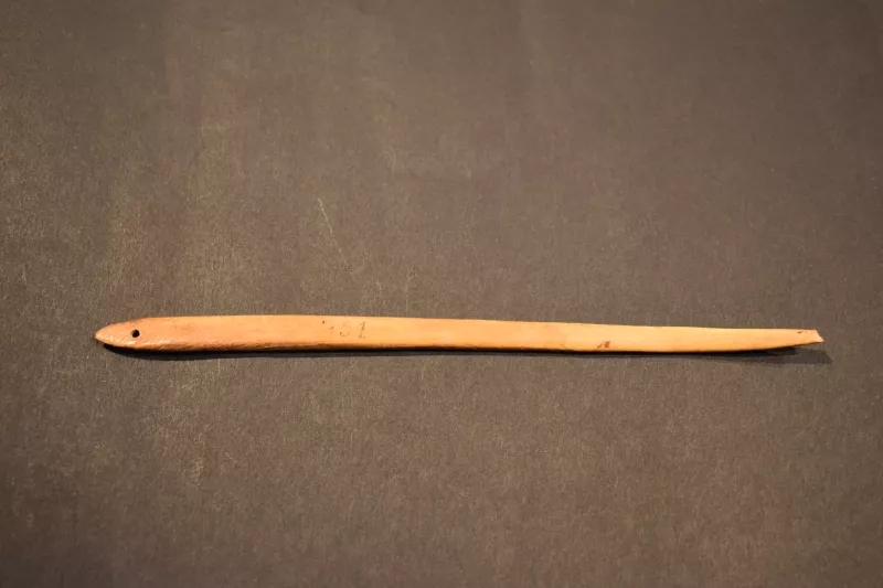Aguja (arqueológico y etnográfico)