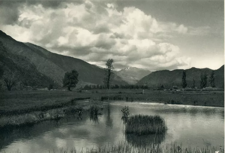 Curillinco, valle del río Maule (Maule river valley)