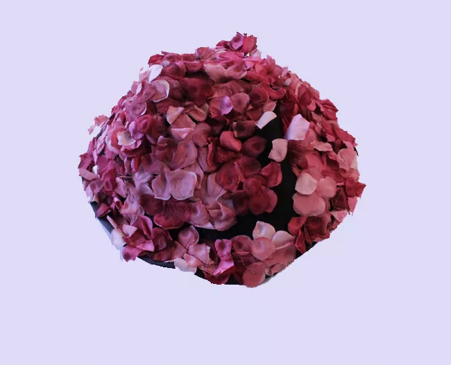 Sombrero