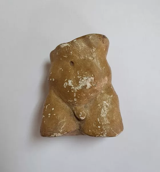Torso masculino