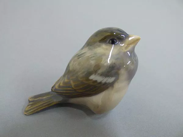 Gorrión (Passer domesticus)
