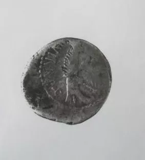 DENARIO