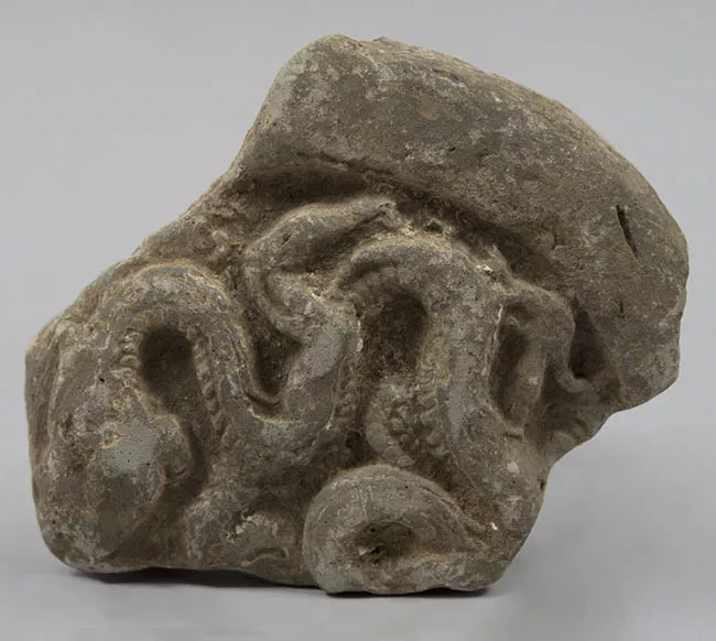 Relieve con forma de serpiente
