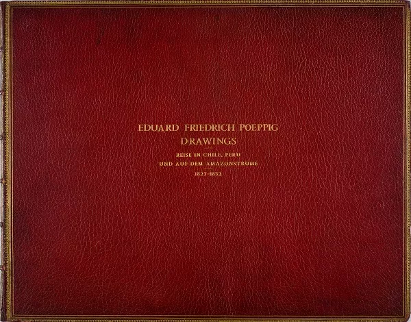 Eduard Friedrich Poeppig Drawings. Reise in Chile, Peru und auf dem Amazonstrome 1827-1832