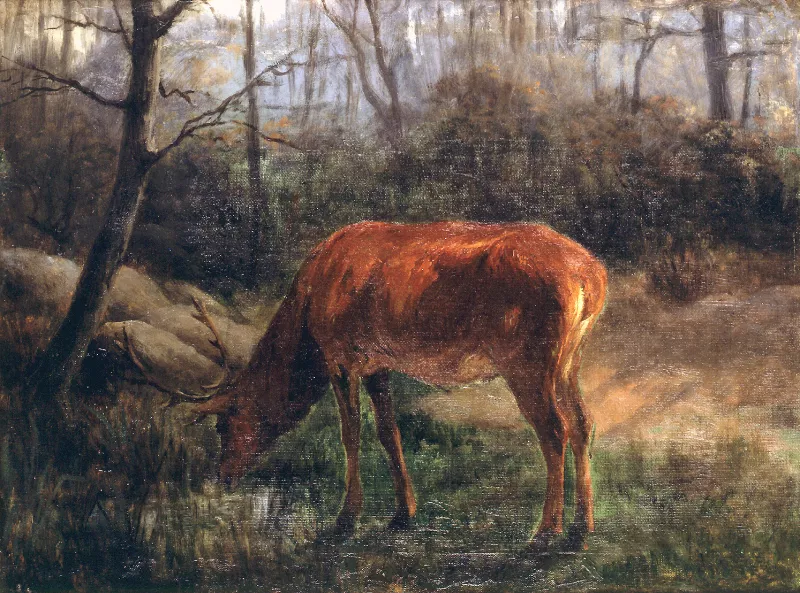 Venado