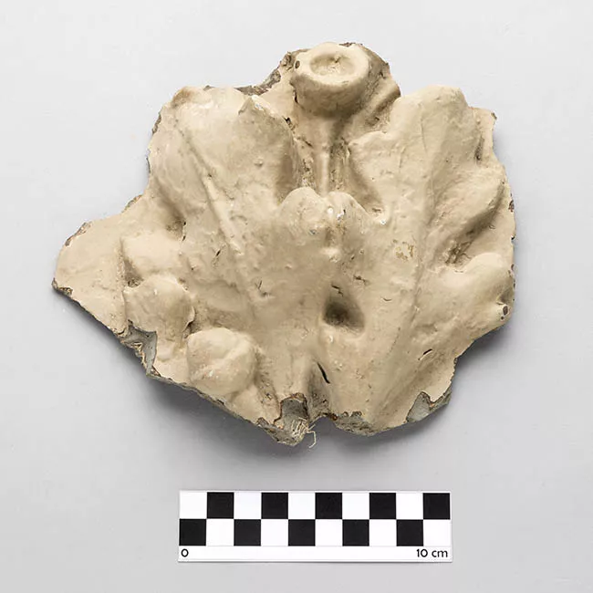 Moldura