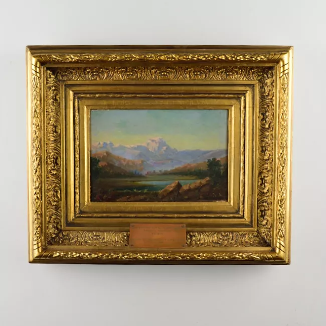Paisaje cordillerano