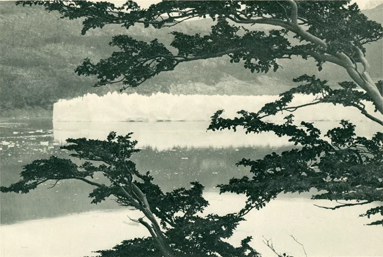 Lago Grey