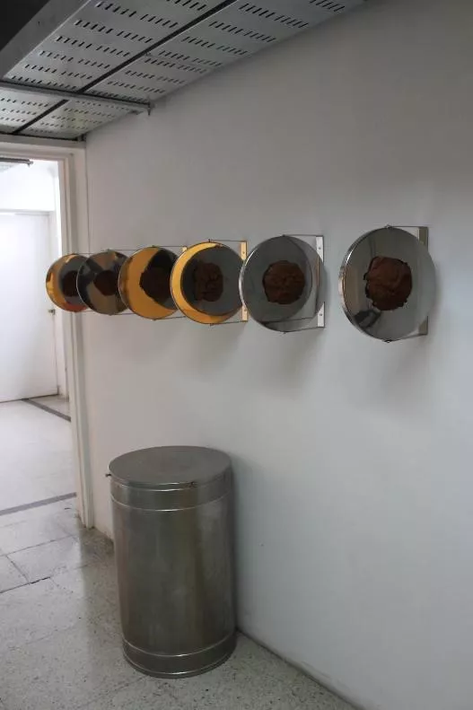 Lanzamientos 
