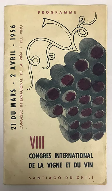 VIII Congreso Internacional de la Viña y del Vino