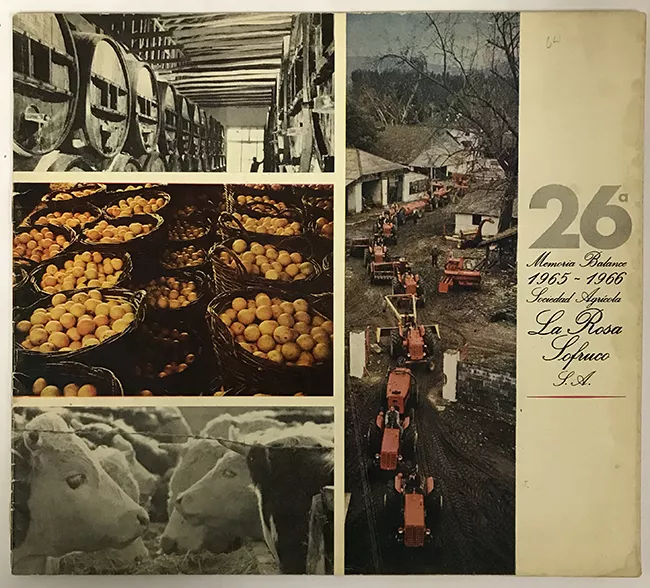 26a. Memoria Balance 1965-1966. Sociedad Agricola La Rosa 