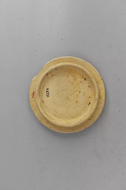 Tapa (cubierta)