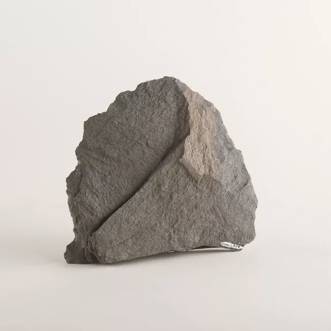 Pala