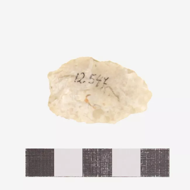 Raedera