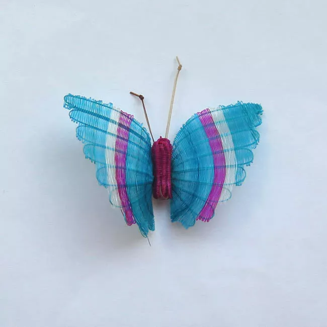 Mariposa Listada